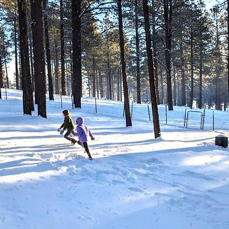 Close To Williams, Flagstaff, Grand Canyon And Sedona Luaran gambar