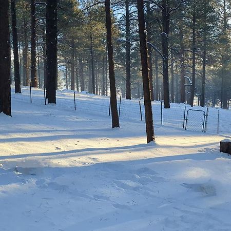 Close To Williams, Flagstaff, Grand Canyon And Sedona Luaran gambar