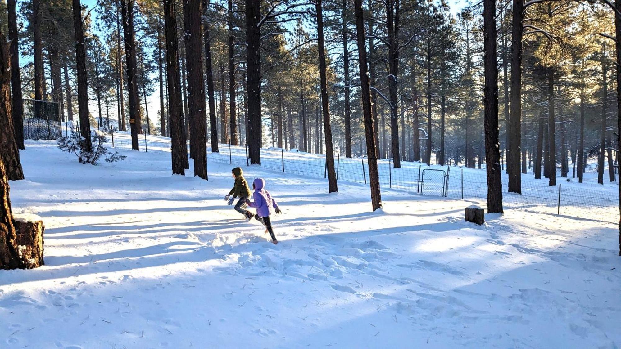 Close To Williams, Flagstaff, Grand Canyon And Sedona Luaran gambar