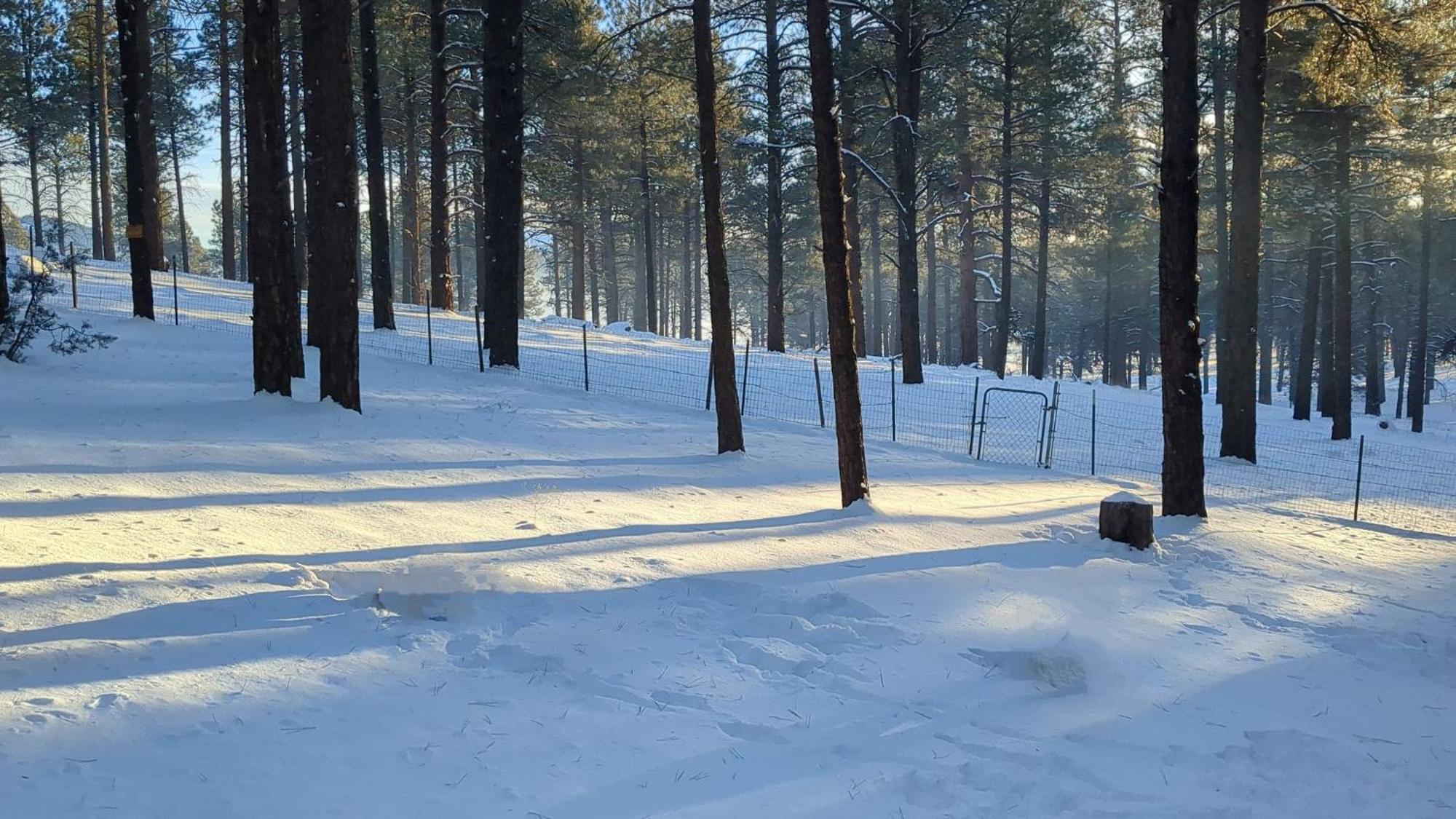 Close To Williams, Flagstaff, Grand Canyon And Sedona Luaran gambar