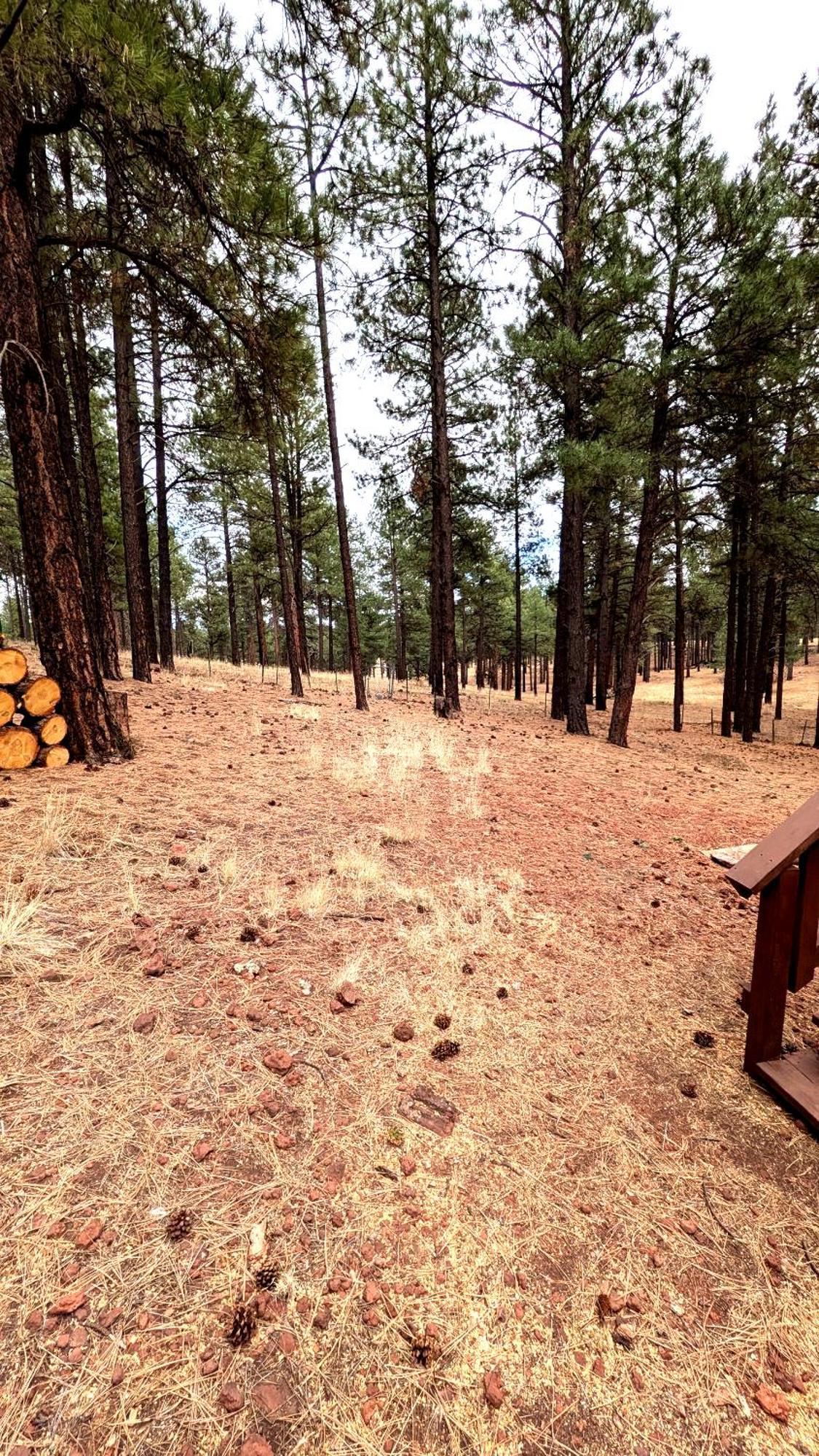 Close To Williams, Flagstaff, Grand Canyon And Sedona Luaran gambar