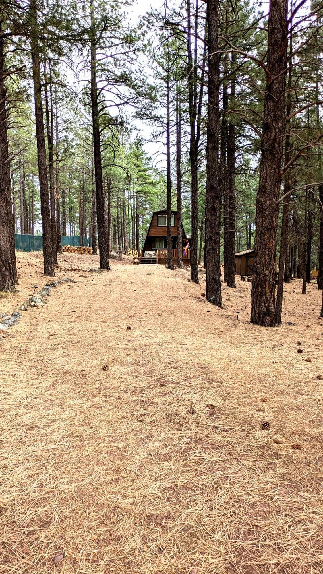 Close To Williams, Flagstaff, Grand Canyon And Sedona Luaran gambar